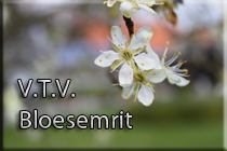 VTV bloesemrit