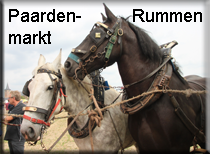 rummen paarden