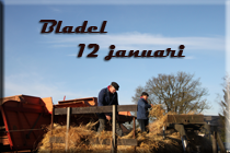 dorsdag bladel