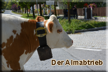 almabtrieb