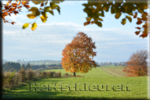 herfstkleuren