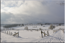 januari wandeling