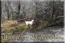 wandeling 25 dec