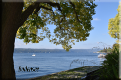 bodensee